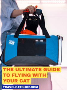 Read more about the article Can You Take a Collapsible Wagon on an Airplane? Find Out!